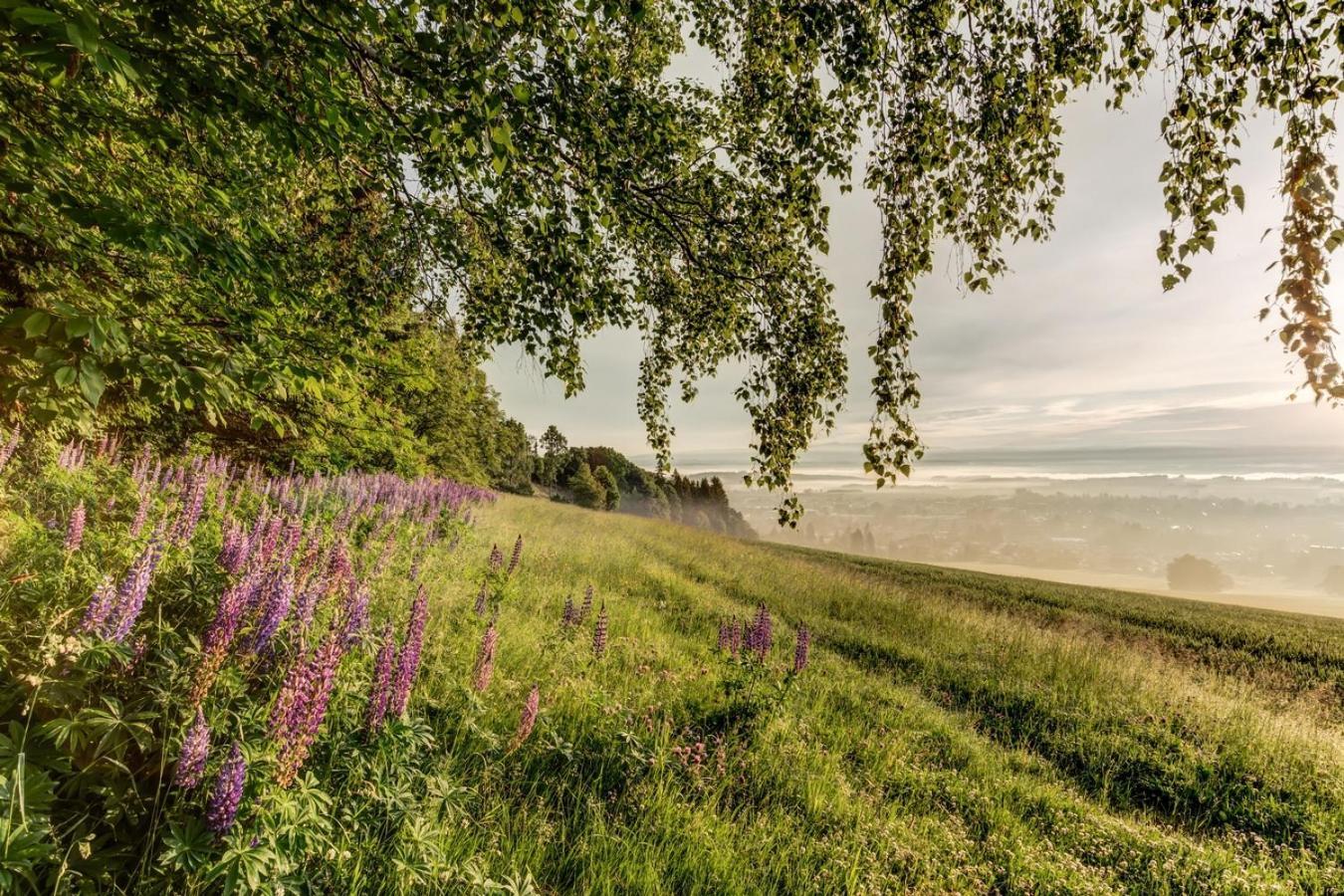 Апартаменты Wellness Cesky Raj & Biokolna Lomnice nad Popelkou